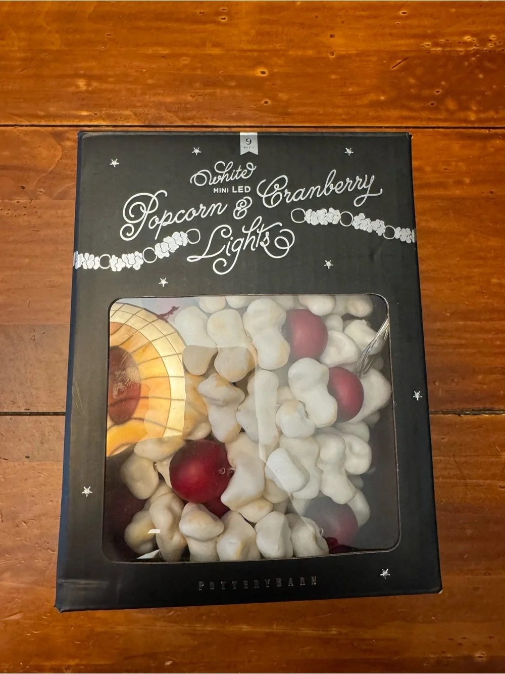 Pottery Barn Popcorn and Cranberry Lights Battery Powered 9 feet Christmas Decor